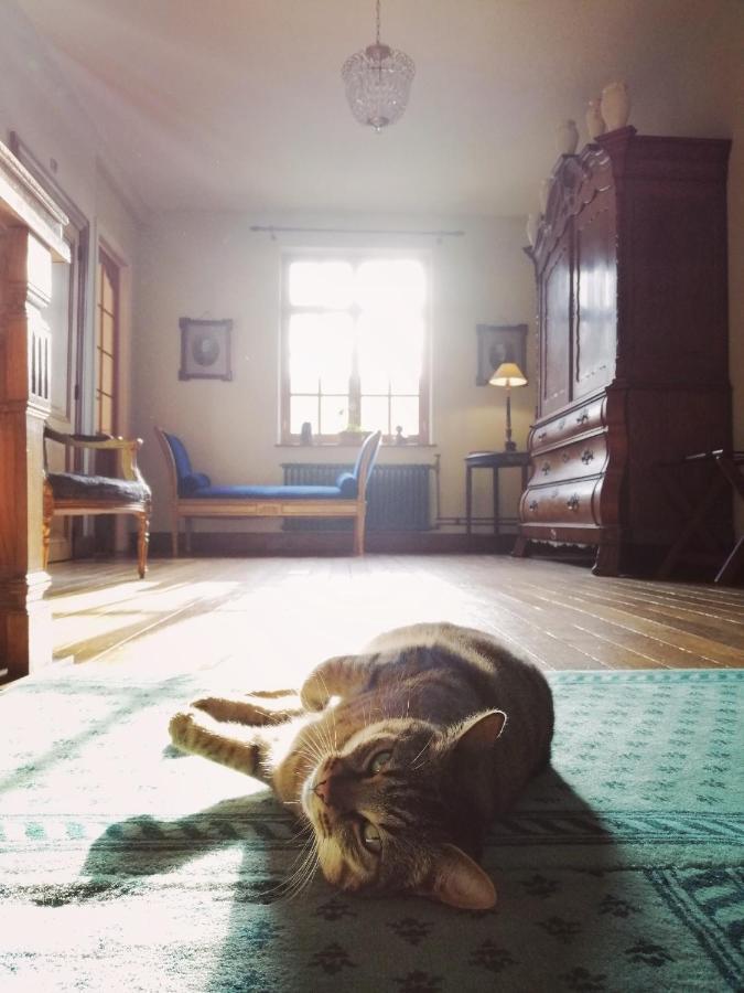 Het Domherenhuis Bed & Breakfast *